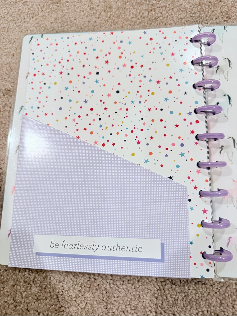 Happy Planner BIG Wellness Health Planner Bundle Stickers Purple Discs - Picture 6 of 13